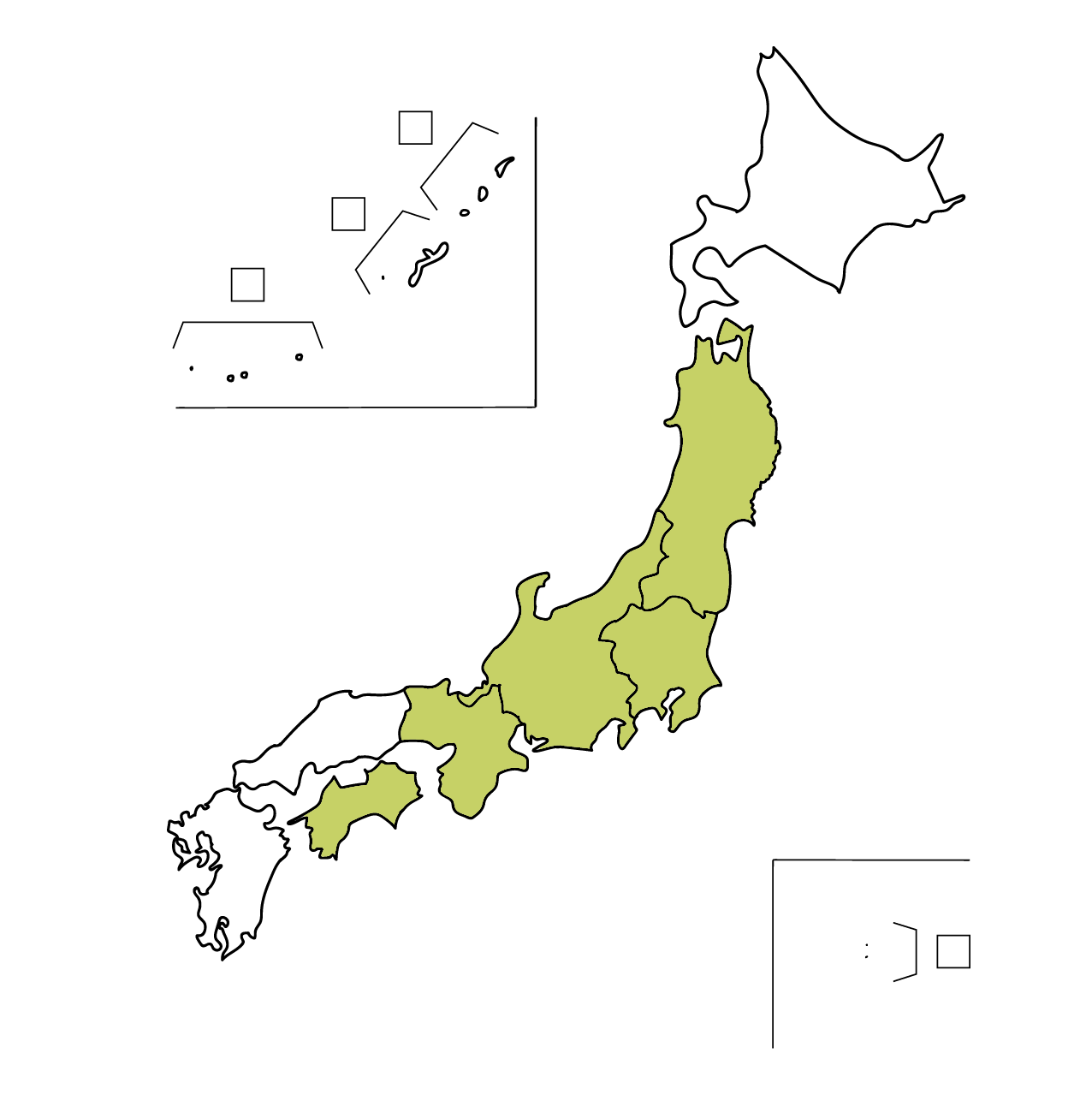 シラビソ Abies Veitchii ざっそう屋